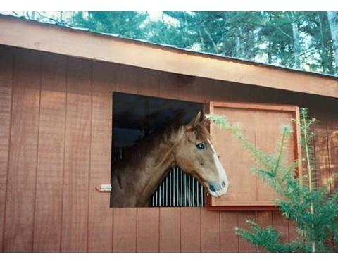 7 Gillis Rd, Windham, NH 03087 photo 28