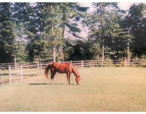 7 Gillis Rd, Windham, NH 03087 photo 24