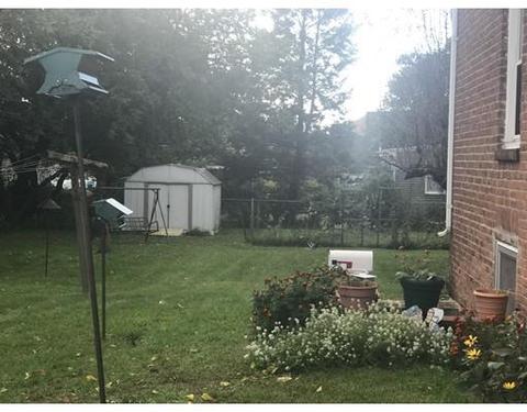 73 Decatur St, Springfield, MA 01151 photo 2