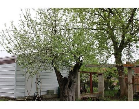 73 Decatur St, Springfield, MA 01151 photo 6