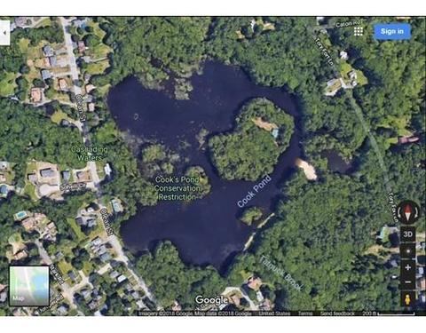 35 Juniper Rd, Worcester, MA 01602 photo 28