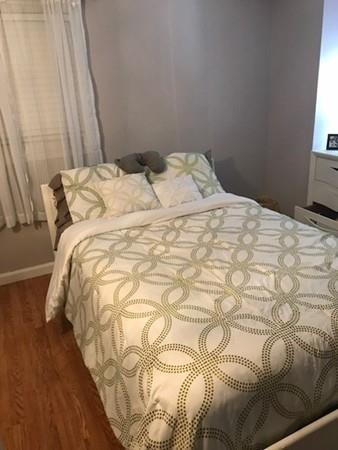 20 Baird Trce, Springfield, MA 01118 photo 13