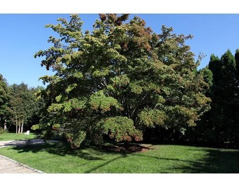 148 Main, Barnstable, MA 02635 photo 30