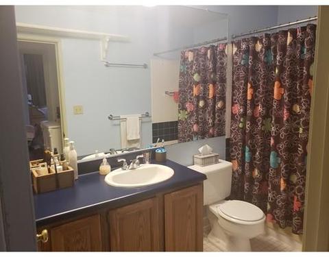 235 State St #307, Springfield, MA 01103 photo 5