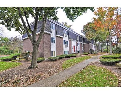 50 Will Dr #75, Canton, MA 02021 photo 18