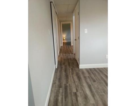 55 Park Hill Rd, Worcester, MA 01607 photo 21
