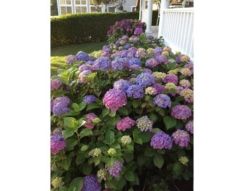 80 Circuit Ave, Bourne, MA 02559 photo 25