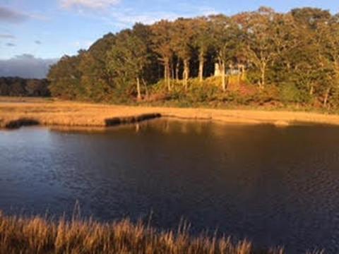 180 County Rd, Bourne, MA 02532 photo 5
