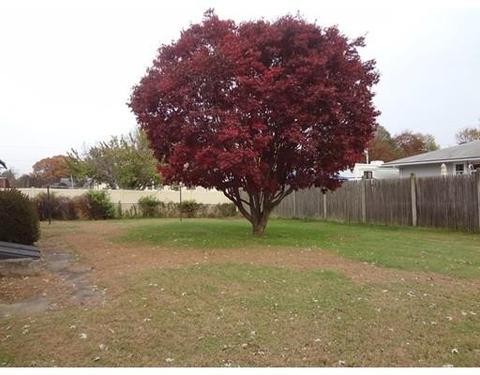 17 Pickering, Chicopee, MA 01013 photo 3