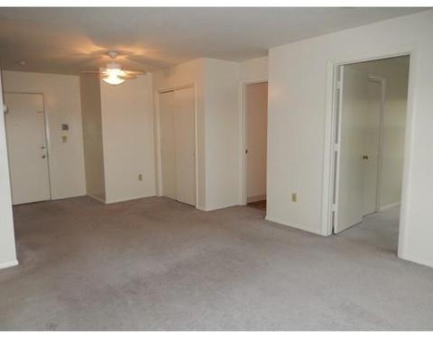 5 E Kendall St #3F, Worcester, MA 01605 photo 11