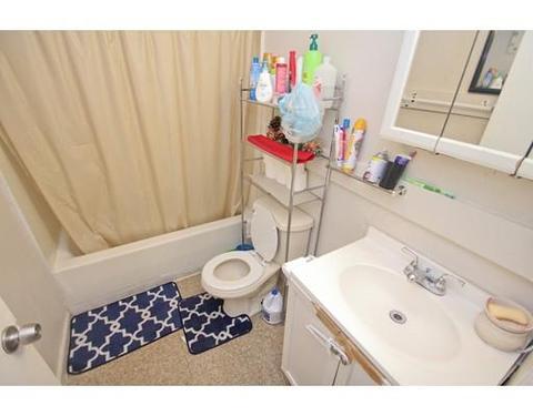 97 Bowles St, Springfield, MA 01109 photo 6