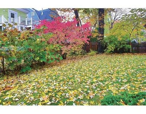 79 Beals St #2, Brookline, MA 02446 photo 9