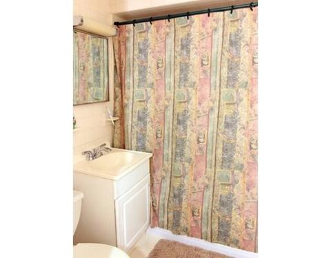 21 Amanda St, Springfield, MA 01118 photo 6