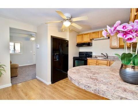 70 Lucerne Rd, Springfield, MA 01119 photo 15