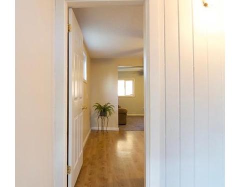 70 Lucerne Rd, Springfield, MA 01119 photo 16