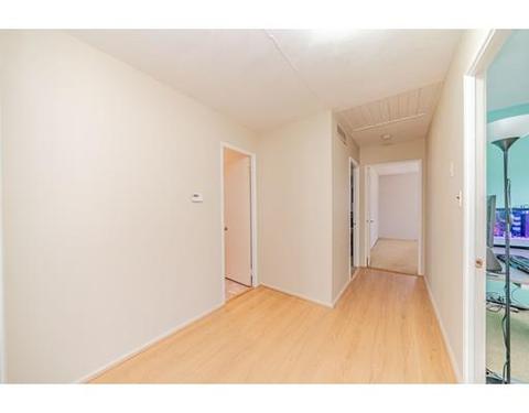 1318 Plumtree Rd, Springfield, MA 01119 photo 15