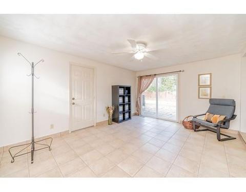 1318 Plumtree Rd, Springfield, MA 01119 photo 23
