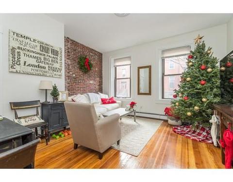 36 E Springfield St, Boston, MA 02118 photo 4