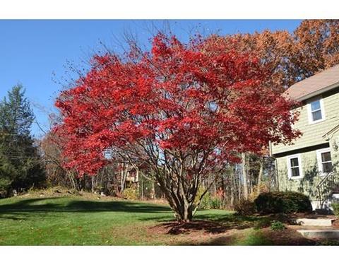 68 Emerald Dr, Dracut, MA 01826 photo 2