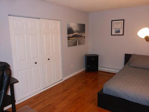 28 Pomeroy St, Easthampton, MA 01027 photo 15