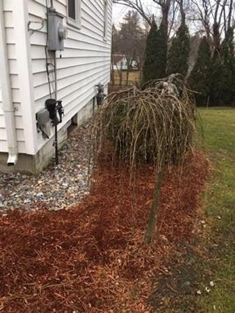 143 E Dunstable Rd, Nashua, NH 03062 photo 30