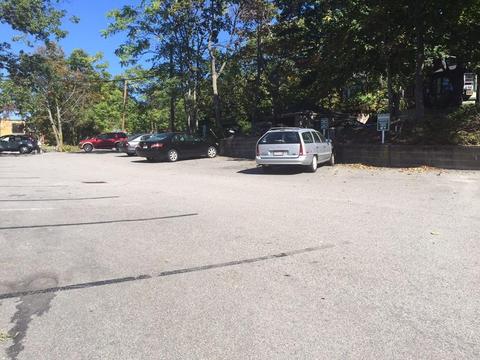 195 Rawson Rd, Brookline, MA 02445 photo 5