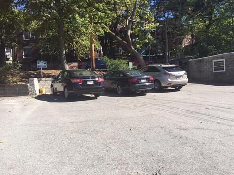 195 Rawson Rd, Brookline, MA 02445 photo 3