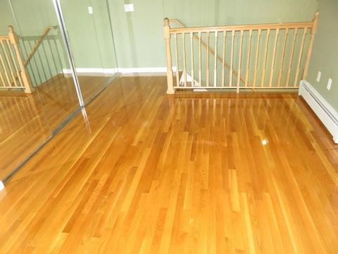 173 Bell Rock St #-, Everett, MA 02149 photo 20