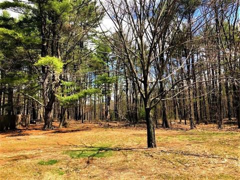 4 Pine Valley Rd, Northampton, MA 01062 photo 10