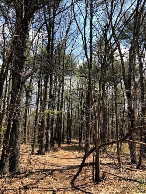 4 Pine Valley Rd, Northampton, MA 01062 photo 11