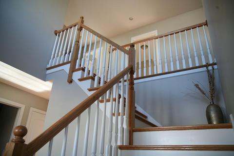 224 Naismith St, Springfield, MA 01104 photo 23