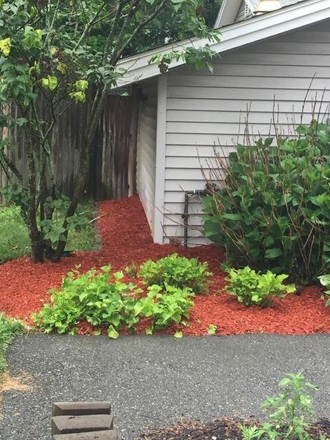 4 Robert Rd, Framingham, MA 01702 photo 5