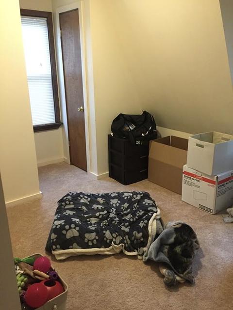 69 Ames Ave, Chicopee, MA 01013 photo 6