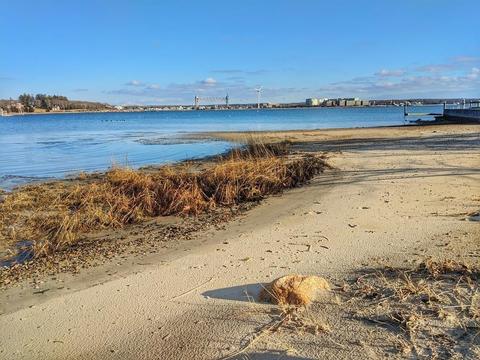 8 Pinewood Rd, Buzzards Bay, MA 02532 photo 5