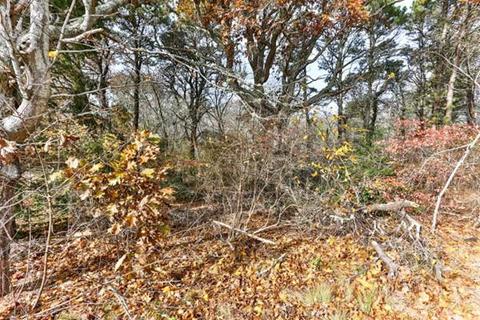 31 Pine Rd, Dennis, MA 02670 photo 15