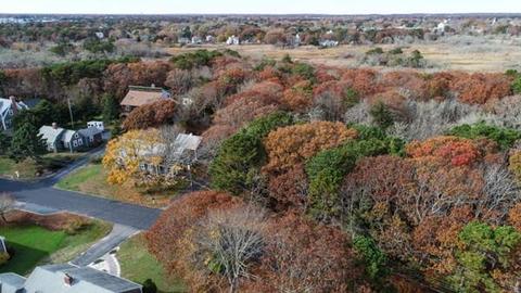 31 Pine Rd, Dennis, MA 02670 photo 8