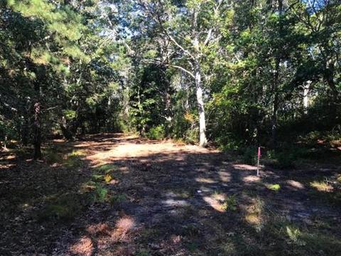 31 Pine Rd, Dennis, MA 02670 photo 12