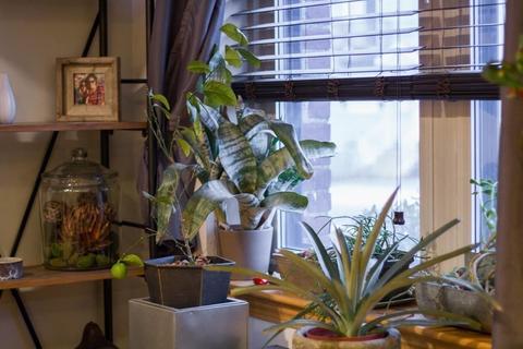 50 Floyd St UNIT 6, Everett, MA 02149 photo 9