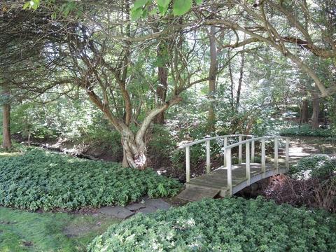 34 Meadowbrook Rd, Needham, MA 02492 photo 29