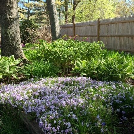 431 Cotuit Rd, Mashpee, MA 02649 photo 18