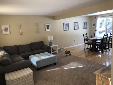 14 Squibnocket Rd, Franklin, MA 02038 photo 6