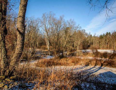 53 Burbank Rd, Sutton, MA 01590 photo 29