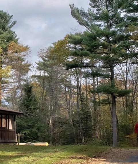 5 Laurel Ave, Ashburnham, MA 01430 photo 17
