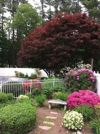 35 Upland Rd, Sharon, MA 02067 photo 29