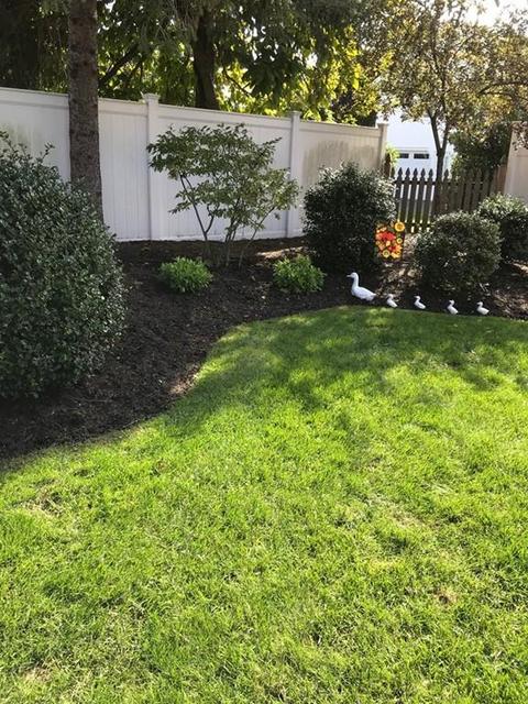 10 Aurele Cir, Reading, MA 01867 photo 28