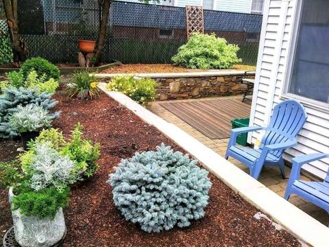 22 Halmstad St, Worcester, MA 01607 photo 18