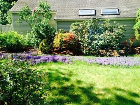 237 Maynard Rd, Framingham, MA 01701 photo 28