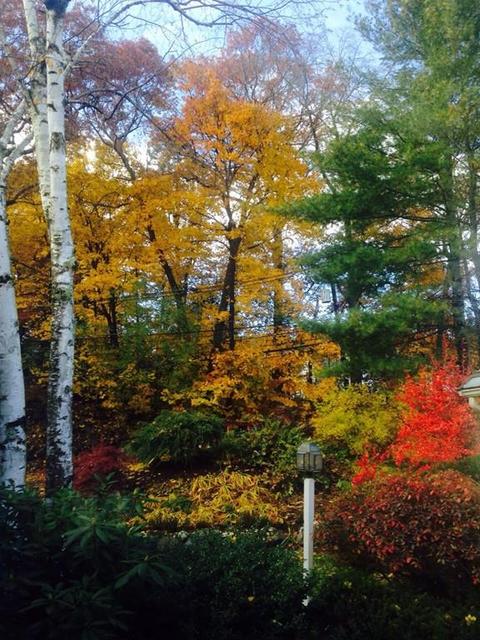 237 Maynard Rd, Framingham, MA 01701 photo 26