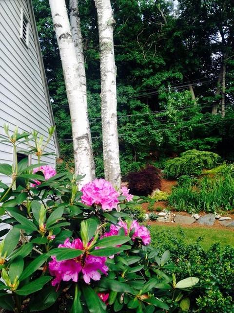 237 Maynard Rd, Framingham, MA 01701 photo 27