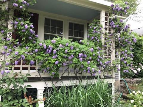 78 Village Ave, Dedham, MA 02026 photo 27